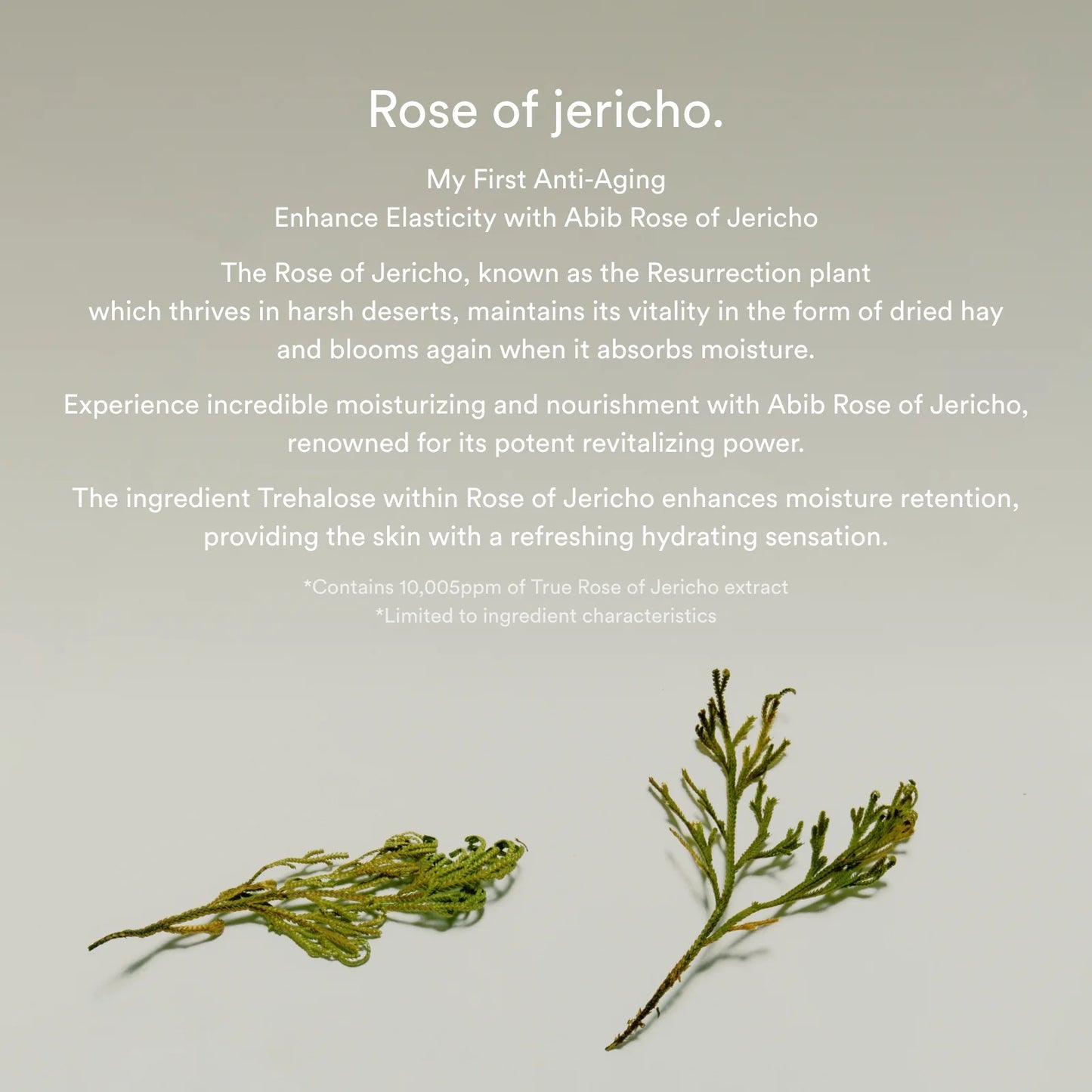 Abib Collagen Eye Crème Jericho Rose